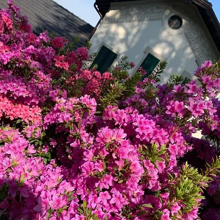 Giardini Magnolia Apartamento