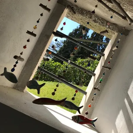 Giardini Magnolia Apartamento Belgirate