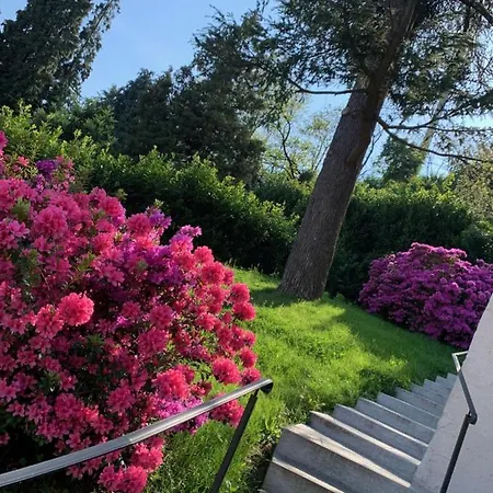 Giardini Magnolia
