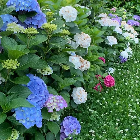 Giardini Magnolia Апартаменты Бельджирате