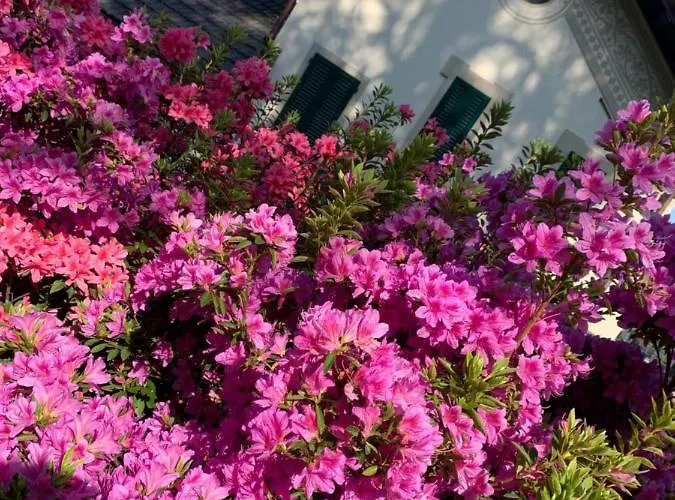 Giardini Magnolia 아파트