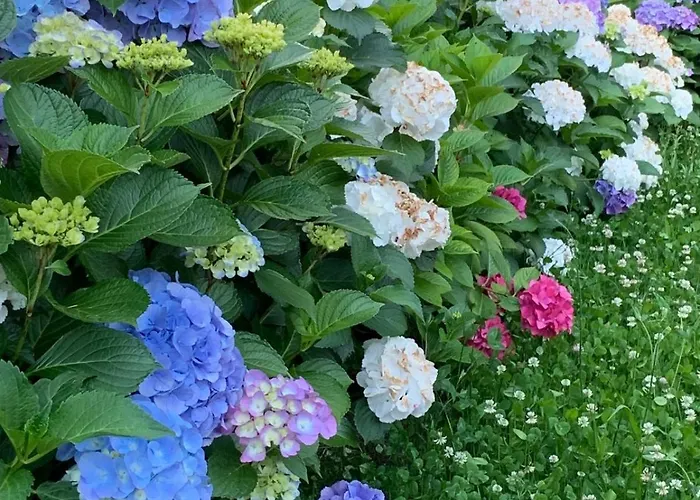 Giardini Magnolia شقة بيلجيراتي