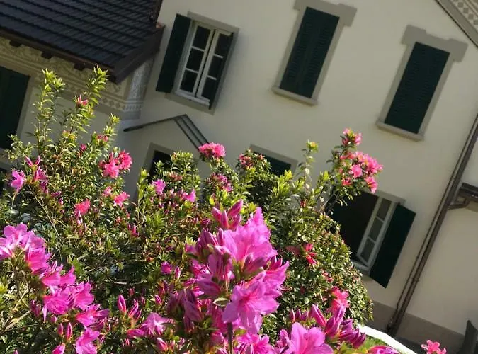 Giardini Magnolia * بيلجيراتي